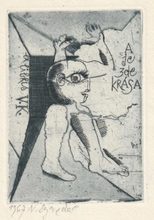 Naděžda Synecká